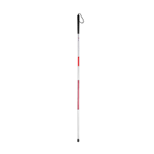 Canes for the Blind