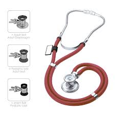 Dual head stethoscope
