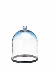 BELL JAR WITH KNOB | Professional Laboratory Equipment | Scientific Supplies