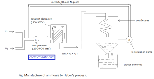 CHART MANUFACTURE OF AMMONIA BT HABBAR PROCESS 75X100CM | Professional Laboratory Equipment | Scientific Supplies