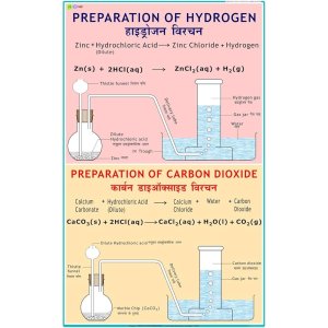 CHART PREPERATION OF HYDROGEN & CARBON DIOXIDE GAS 75X100CM | Professional Laboratory Equipment | Scientific Supplies