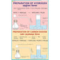 CHART PREPERATION OF HYDROGEN & CARBON DIOXIDE GAS 75X100CM | Professional Laboratory Equipment | Scientific Supplies