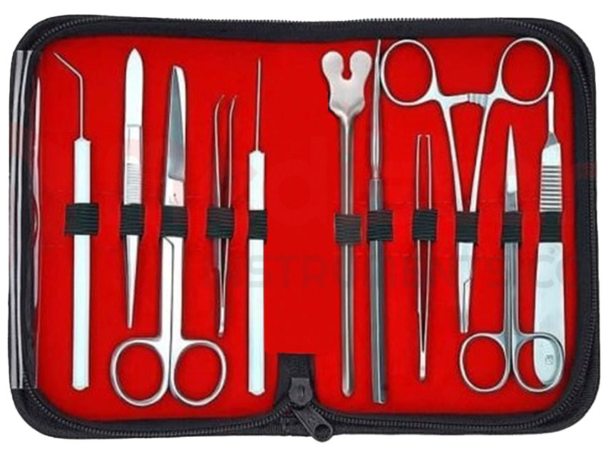 Dissecting Set 11 Instrument | Medical