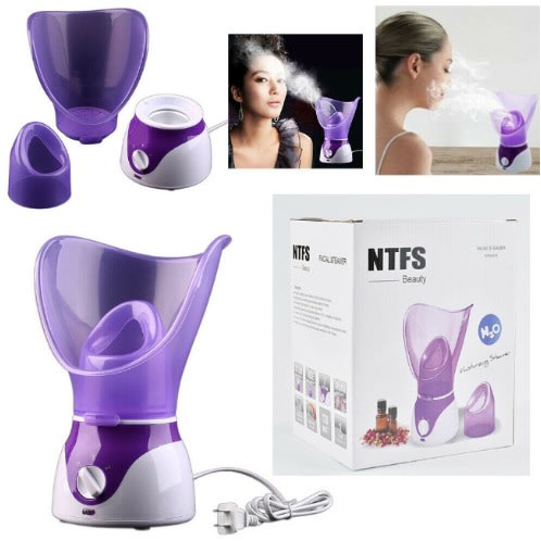 face steamer