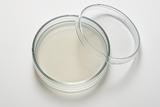 petri dish